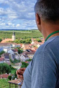 VOC vinice * Putování vinicemi za víny VOC 2024
