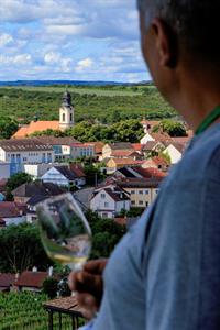 VOC vinice * Putování vinicemi za víny VOC 2024