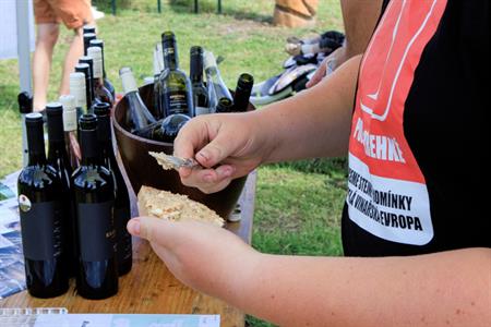 VOC vinice * Putování vinicemi za víny VOC 2024