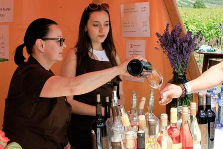 VOC vinice * Putování vinicemi za víny VOC 2024