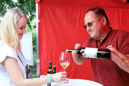 VOC vinice * Putování vinicemi za víny VOC 2024