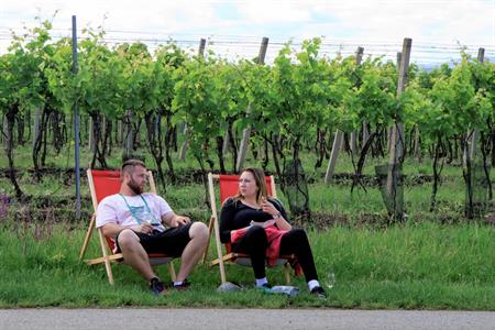 VOC vinice * Putování vinicemi za víny VOC 2024