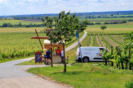 VOC vinice * Putování vinicemi za víny VOC 2024