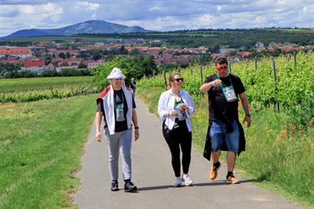 VOC vinice * Putování vinicemi za víny VOC 2024