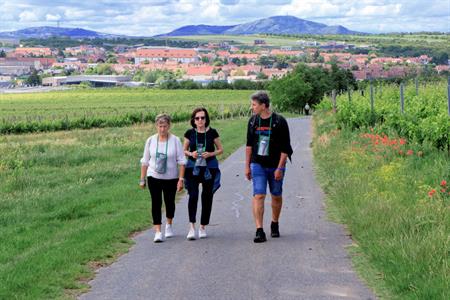 VOC vinice * Putování vinicemi za víny VOC 2024