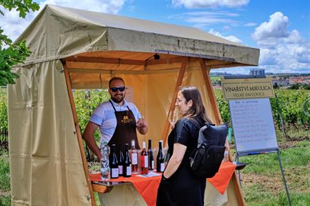 VOC vinice * Putování vinicemi za víny VOC 2024