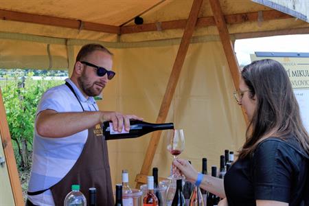 VOC vinice * Putování vinicemi za víny VOC 2024