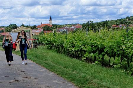 VOC vinice * Putování vinicemi za víny VOC 2024