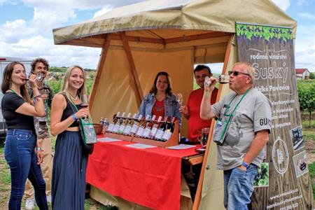 VOC vinice * Putování vinicemi za víny VOC 2024