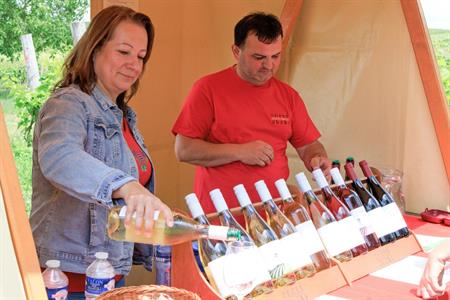 VOC vinice * Putování vinicemi za víny VOC 2024