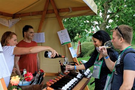 VOC vinice * Putování vinicemi za víny VOC 2024