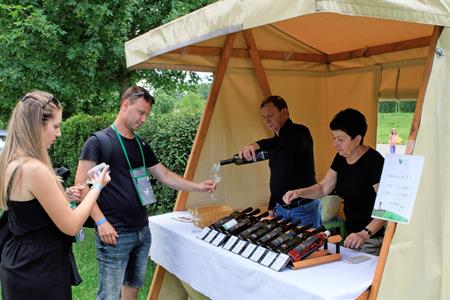 VOC vinice * Putování vinicemi za víny VOC 2024