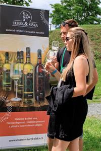 VOC vinice * Putování vinicemi za víny VOC 2024