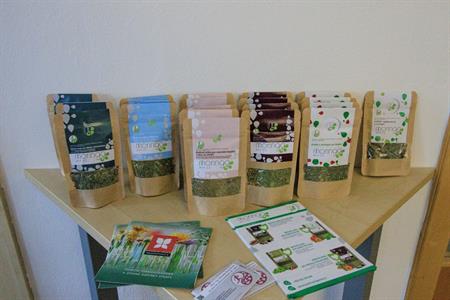 Senioři * Přednáška Zdravá výživa. Projekt pro seniory Jak relativní je stáří II.