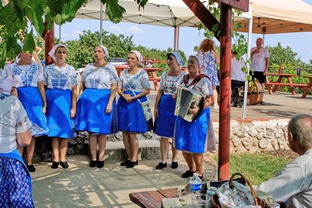 Rozhledna Slunečná * ZAHÁJENÍ PRÁZDNIN & ZPÍVÁNÍ POD ROZHLEDNOU SLUNEČNÁ