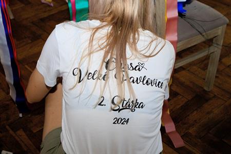 Folklor & tradice * VELKOPAVLOVICKÉ KROJOVANÉ HODY 2024 * Stavění hodovní máje