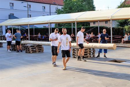 Folklor & tradice * VELKOPAVLOVICKÉ KROJOVANÉ HODY 2024 * Stavění hodovní máje