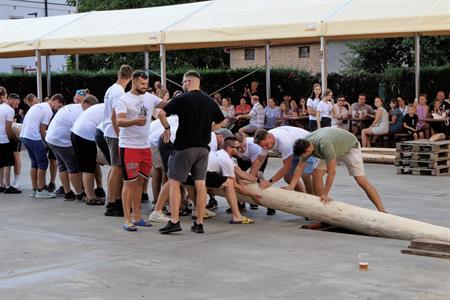 Folklor & tradice * VELKOPAVLOVICKÉ KROJOVANÉ HODY 2024 * Stavění hodovní máje