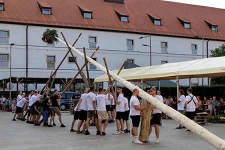 Folklor & tradice * VELKOPAVLOVICKÉ KROJOVANÉ HODY 2024 * Stavění hodovní máje