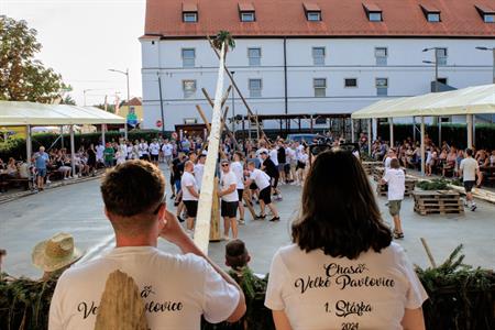Folklor & tradice * VELKOPAVLOVICKÉ KROJOVANÉ HODY 2024 * Stavění hodovní máje