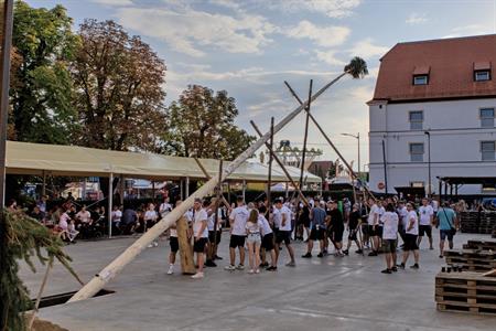 Folklor & tradice * VELKOPAVLOVICKÉ KROJOVANÉ HODY 2024 * Stavění hodovní máje