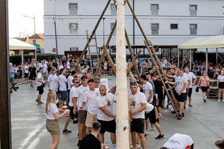 Folklor & tradice * VELKOPAVLOVICKÉ KROJOVANÉ HODY 2024 * Stavění hodovní máje