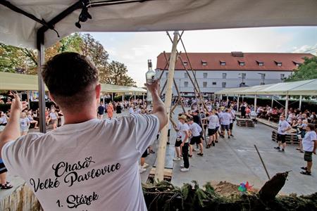 Folklor & tradice * VELKOPAVLOVICKÉ KROJOVANÉ HODY 2024 * Stavění hodovní máje