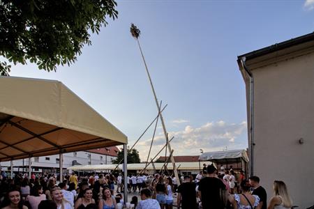 Folklor & tradice * VELKOPAVLOVICKÉ KROJOVANÉ HODY 2024 * Stavění hodovní máje