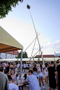 Folklor & tradice * VELKOPAVLOVICKÉ KROJOVANÉ HODY 2024 * Stavění hodovní máje