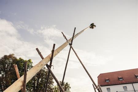 Folklor & tradice * VELKOPAVLOVICKÉ KROJOVANÉ HODY 2024 * Stavění hodovní máje ve fotografiích Richarda Skoumala