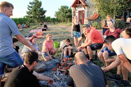 Městská knihovna * Veselé dýňobraní pod rozhlednou Slunečná roku 2024
