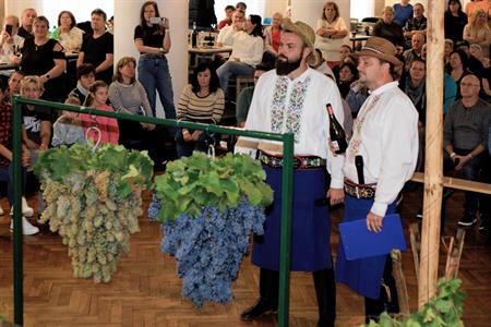 Folklor & tradice * VELKOPAVLOVICKÉ VINOBRANÍ 2024 - Páteční a sobotní program 13. a 14. září 2024