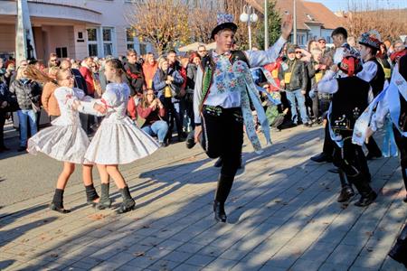 Vinařství * Svatomartinské otevřené sklepy roku 2024