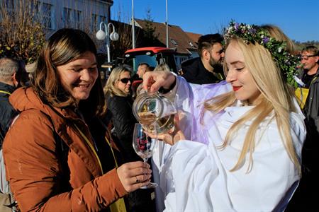 Vinařství * Svatomartinské otevřené sklepy roku 2024