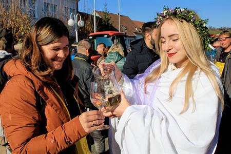 Vinařství * Svatomartinské otevřené sklepy roku 2024
