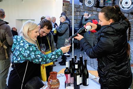 Vinařství * Svatomartinské otevřené sklepy roku 2024