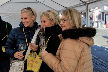 Vinařství * Svatomartinské otevřené sklepy roku 2024