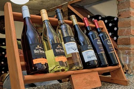 Vinařství * Svatomartinské otevřené sklepy roku 2024