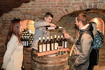 Vinařství * Svatomartinské otevřené sklepy roku 2024