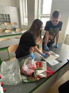 Základní škola * Biologie v praxi - pitva vepřového srdce v 8. A s Mgr. Terezou Veiglovou