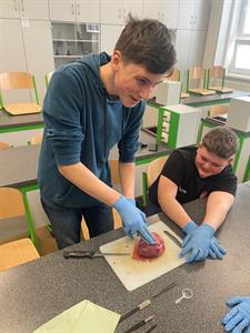 Základní škola * Biologie v praxi - pitva vepřového srdce v 8. A s Mgr. Terezou Veiglovou