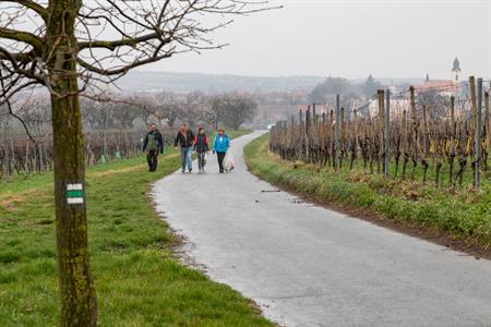 Spolková činnost * Velký jarní úklid města Velké Pavlovice - SDH & Přátelé country