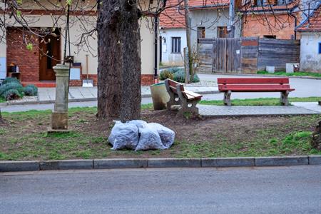 Senioři * Velký jarní úklid města Velké Pavlovice - senioři smejčili o sto šest!