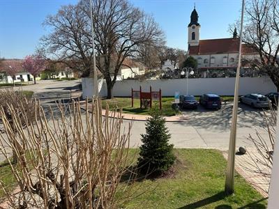 Životní prostředí * Výsadba jehličnanu - vánoční jedličky před radnicí města