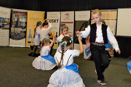 Víno a vinařství * Velkopavlovický košt vín roku 2025; VOC vinice Velké Pavlovice