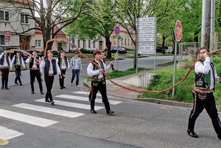 Kultura & folklor * Velkopavlovická chasa na velikonoční obchůzce s 13 metrů dlouhou pomlázkou
