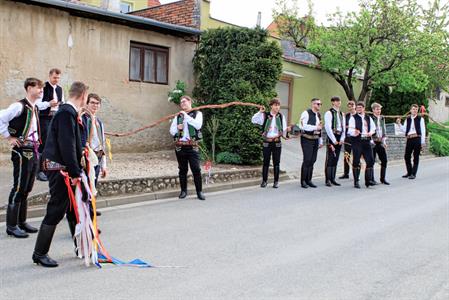 Kultura & folklor * Velkopavlovická chasa na velikonoční obchůzce s 13 metrů dlouhou pomlázkou
