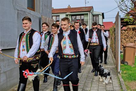 Kultura & folklor * Velkopavlovická chasa na velikonoční obchůzce s 13 metrů dlouhou pomlázkou