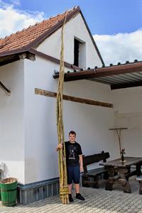 Kultura & vinařství * Velikonoční neděle plná řemesel v Kamil Prokeš vinařství