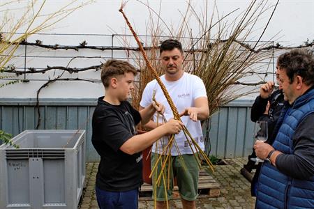 Kultura & vinařství * Velikonoční neděle plná řemesel v Kamil Prokeš vinařství